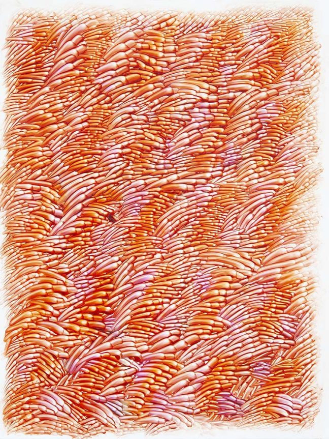 Peter Zimmermann – pica, 2022, oil on dibond, 80 x 60 cm 